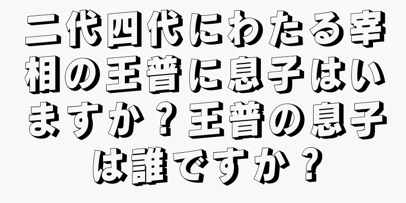 二代四代にわたる宰相の王普に息子はいますか？王普の息子は誰ですか？