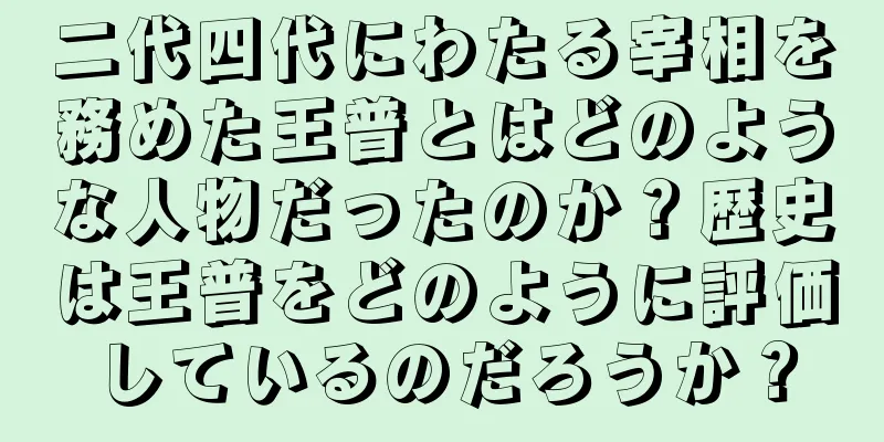 二代四代にわたる宰相を務めた王普とはどのような人物だったのか？歴史は王普をどのように評価しているのだろうか？