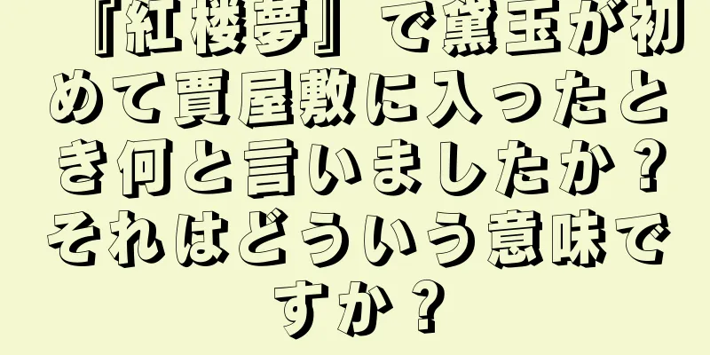 『紅楼夢』で黛玉が初めて賈屋敷に入ったとき何と言いましたか？それはどういう意味ですか？