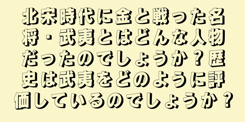 北宋時代に金と戦った名将・武夷とはどんな人物だったのでしょうか？歴史は武夷をどのように評価しているのでしょうか？