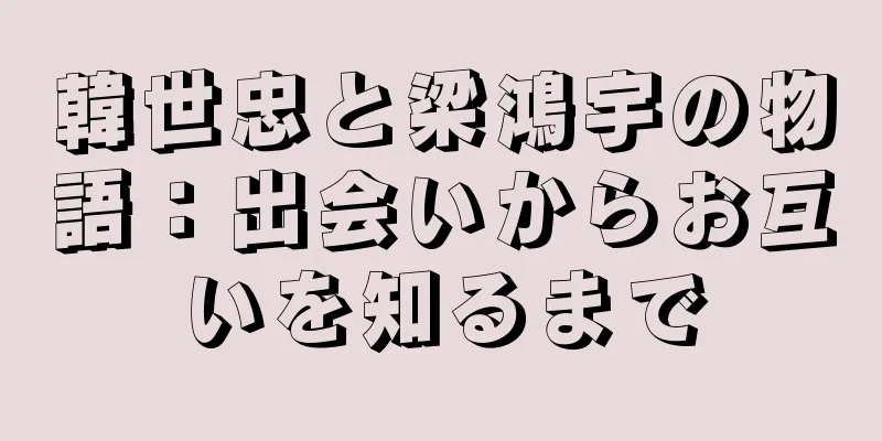 韓世忠と梁鴻宇の物語：出会いからお互いを知るまで