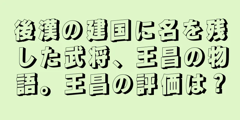 後漢の建国に名を残した武将、王昌の物語。王昌の評価は？