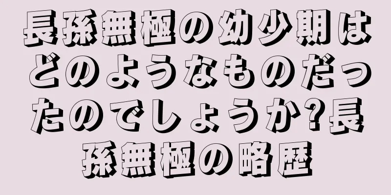 長孫無極の幼少期はどのようなものだったのでしょうか?長孫無極の略歴