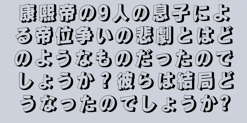 康熙帝の9人の息子による帝位争いの悲劇とはどのようなものだったのでしょうか？彼らは結局どうなったのでしょうか?