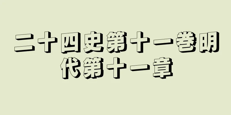 二十四史第十一巻明代第十一章
