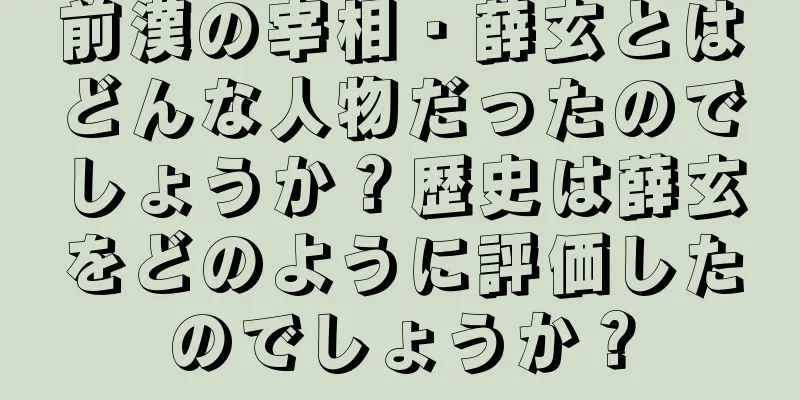 前漢の宰相・薛玄とはどんな人物だったのでしょうか？歴史は薛玄をどのように評価したのでしょうか？