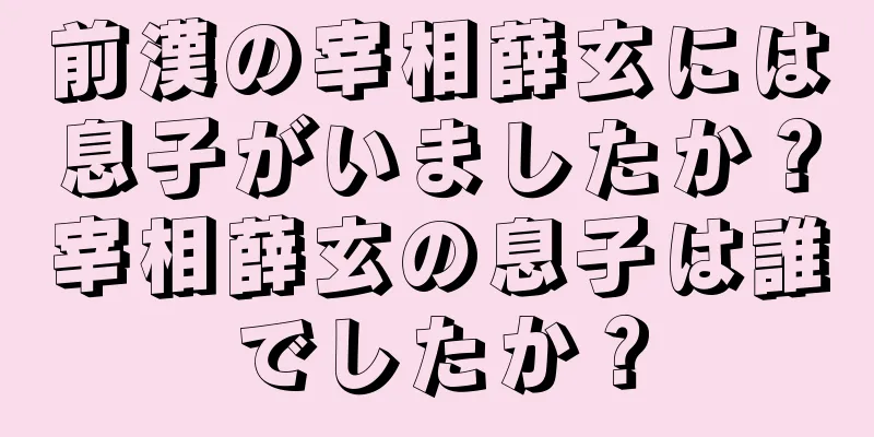 前漢の宰相薛玄には息子がいましたか？宰相薛玄の息子は誰でしたか？