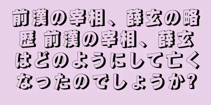 前漢の宰相、薛玄の略歴 前漢の宰相、薛玄はどのようにして亡くなったのでしょうか?
