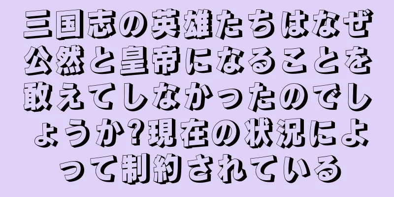 三国志の英雄たちはなぜ公然と皇帝になることを敢えてしなかったのでしょうか?現在の状況によって制約されている