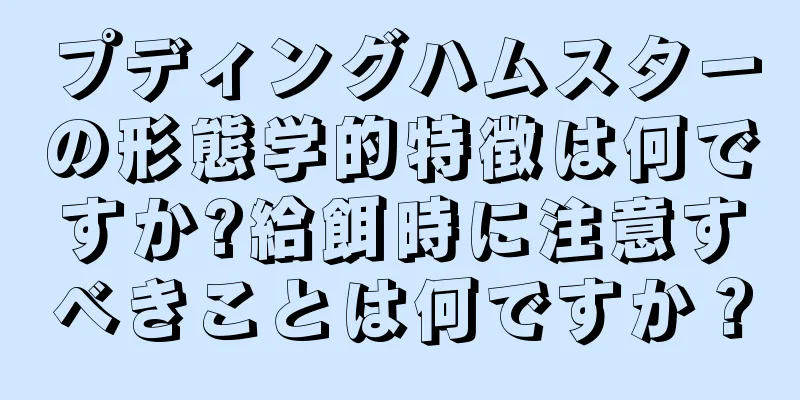 プディングハムスターの形態学的特徴は何ですか?給餌時に注意すべきことは何ですか？