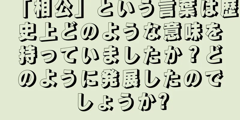 「相公」という言葉は歴史上どのような意味を持っていましたか？どのように発展したのでしょうか?