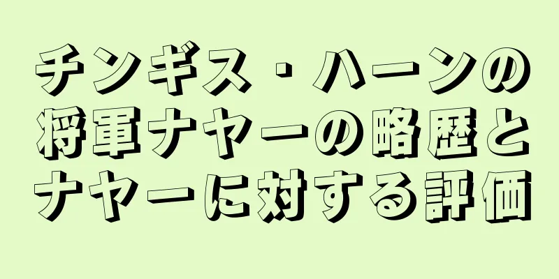 チンギス・ハーンの将軍ナヤーの略歴とナヤーに対する評価