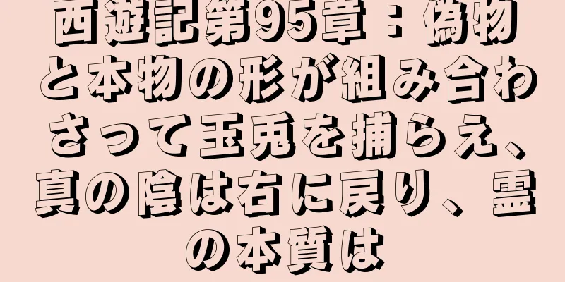 西遊記第95章：偽物と本物の形が組み合わさって玉兎を捕らえ、真の陰は右に戻り、霊の本質は