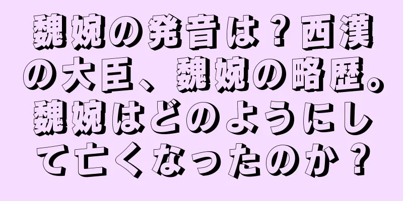 魏婉の発音は？西漢の大臣、魏婉の略歴。魏婉はどのようにして亡くなったのか？