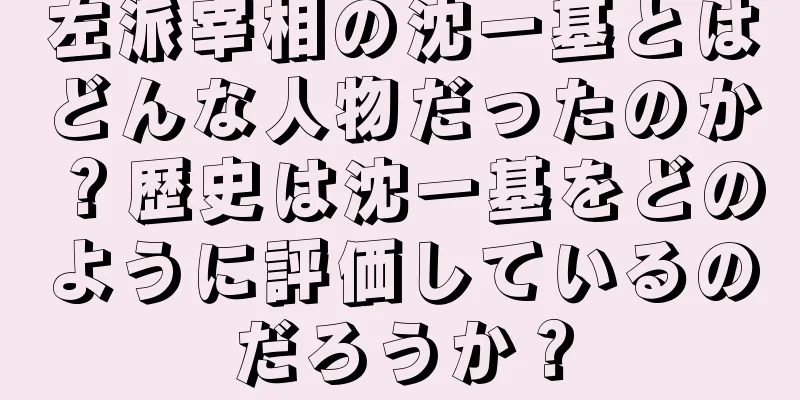 左派宰相の沈一基とはどんな人物だったのか？歴史は沈一基をどのように評価しているのだろうか？
