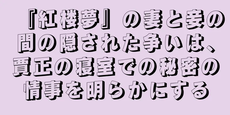 『紅楼夢』の妻と妾の間の隠された争いは、賈正の寝室での秘密の情事を明らかにする