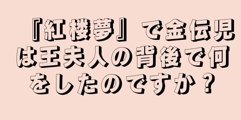 『紅楼夢』で金伝児は王夫人の背後で何をしたのですか？