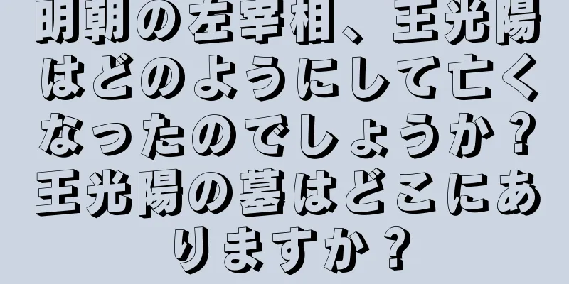 明朝の左宰相、王光陽はどのようにして亡くなったのでしょうか？王光陽の墓はどこにありますか？