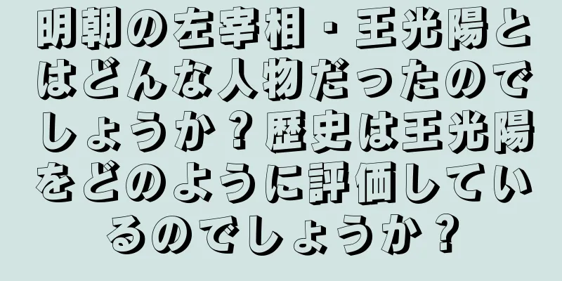 明朝の左宰相・王光陽とはどんな人物だったのでしょうか？歴史は王光陽をどのように評価しているのでしょうか？