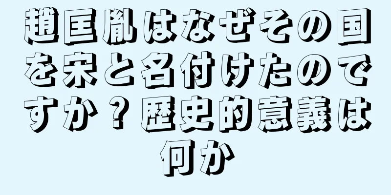 趙匡胤はなぜその国を宋と名付けたのですか？歴史的意義は何か