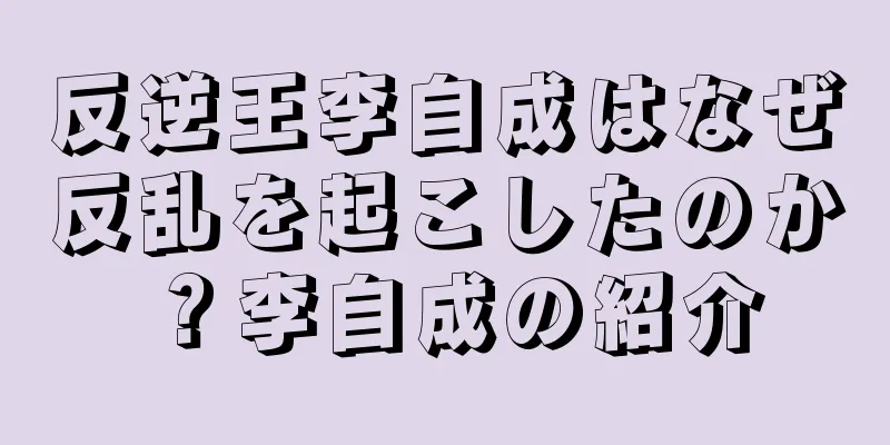 反逆王李自成はなぜ反乱を起こしたのか？李自成の紹介