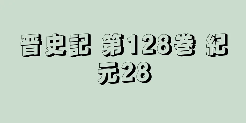 晋史記 第128巻 紀元28