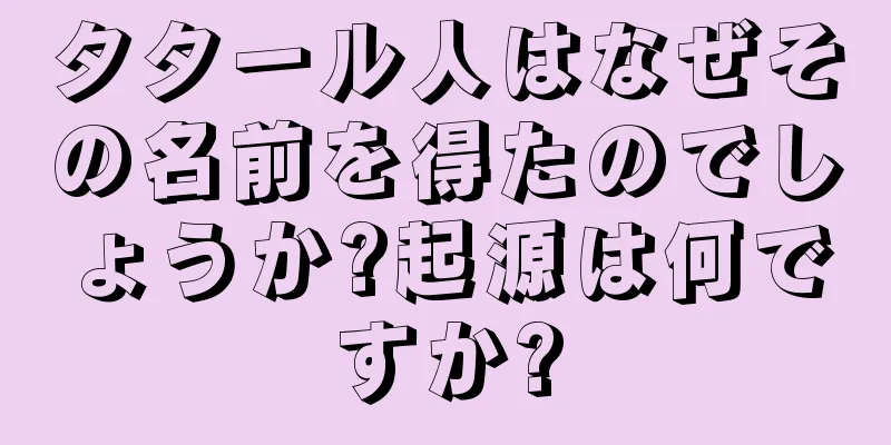 タタール人はなぜその名前を得たのでしょうか?起源は何ですか?