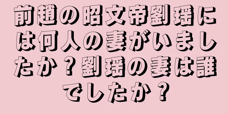 前趙の昭文帝劉瑶には何人の妻がいましたか？劉瑶の妻は誰でしたか？