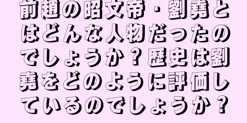 前趙の昭文帝・劉堯とはどんな人物だったのでしょうか？歴史は劉堯をどのように評価しているのでしょうか？