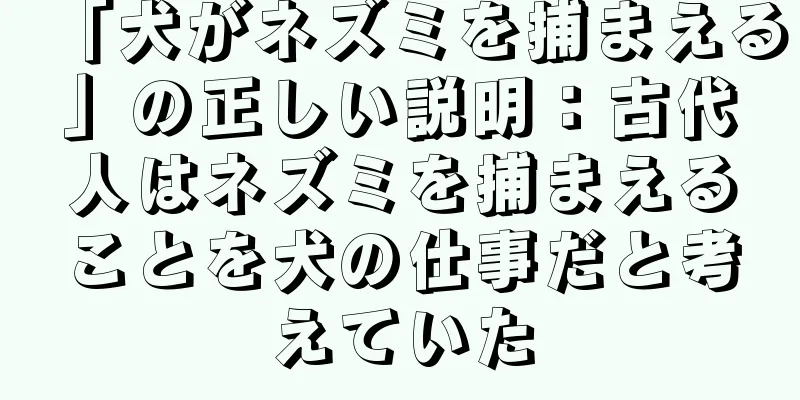 「犬がネズミを捕まえる」の正しい説明：古代人はネズミを捕まえることを犬の仕事だと考えていた