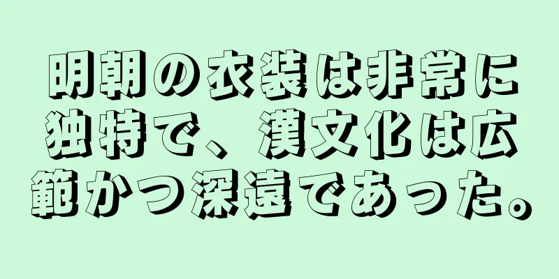 明朝の衣装は非常に独特で、漢文化は広範かつ深遠であった。