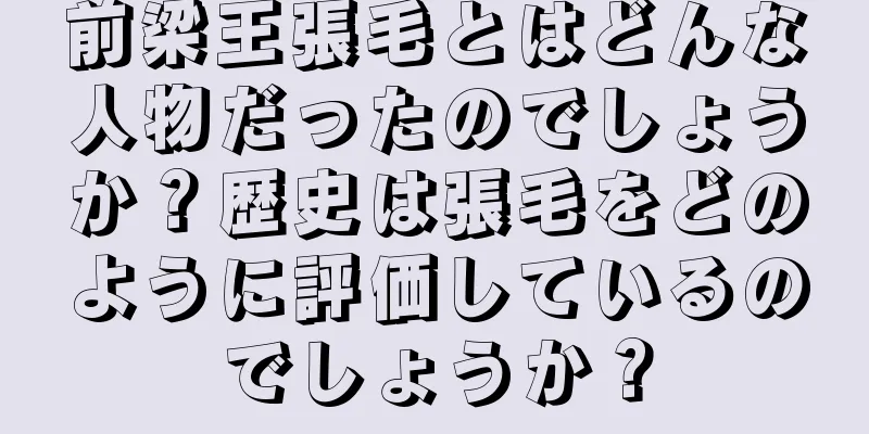 前梁王張毛とはどんな人物だったのでしょうか？歴史は張毛をどのように評価しているのでしょうか？