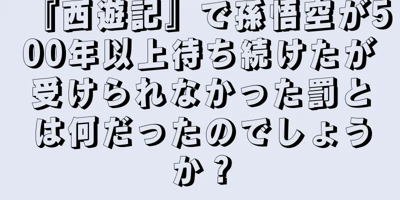 『西遊記』で孫悟空が500年以上待ち続けたが受けられなかった罰とは何だったのでしょうか？
