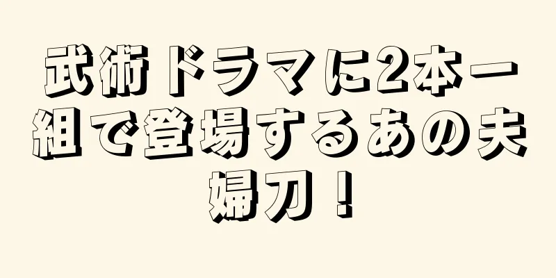 武術ドラマに2本一組で登場するあの夫婦刀！