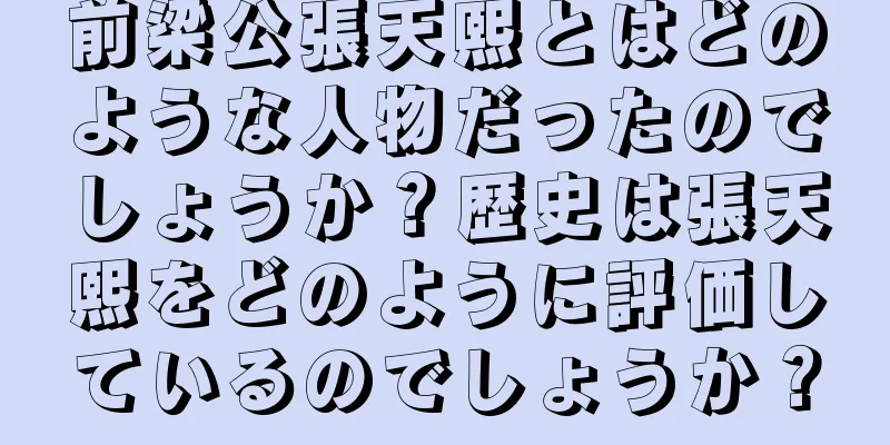 前梁公張天熙とはどのような人物だったのでしょうか？歴史は張天熙をどのように評価しているのでしょうか？