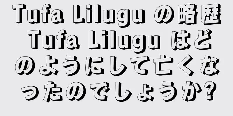 Tufa Lilugu の略歴 Tufa Lilugu はどのようにして亡くなったのでしょうか?
