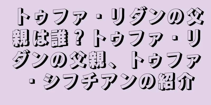トゥファ・リダンの父親は誰？トゥファ・リダンの父親、トゥファ・シフチアンの紹介