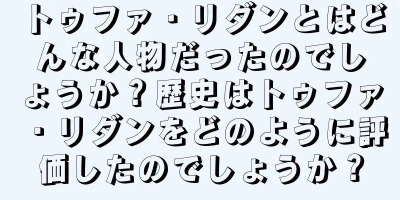 トゥファ・リダンとはどんな人物だったのでしょうか？歴史はトゥファ・リダンをどのように評価したのでしょうか？