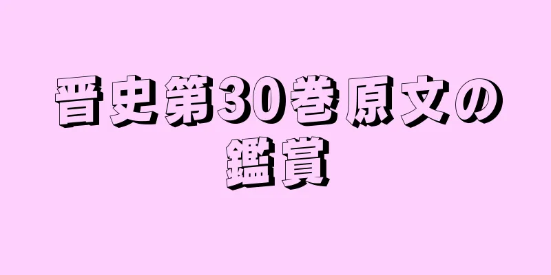 晋史第30巻原文の鑑賞
