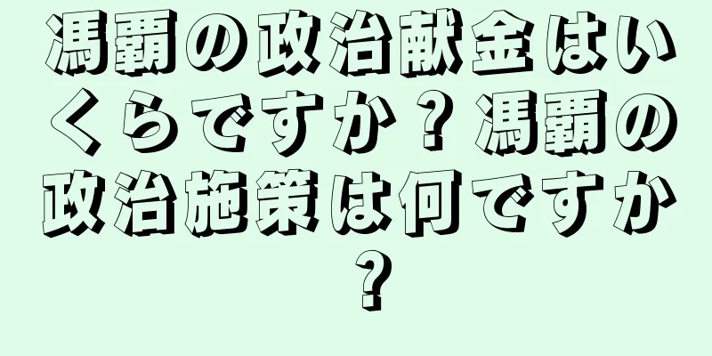 馮覇の政治献金はいくらですか？馮覇の政治施策は何ですか？
