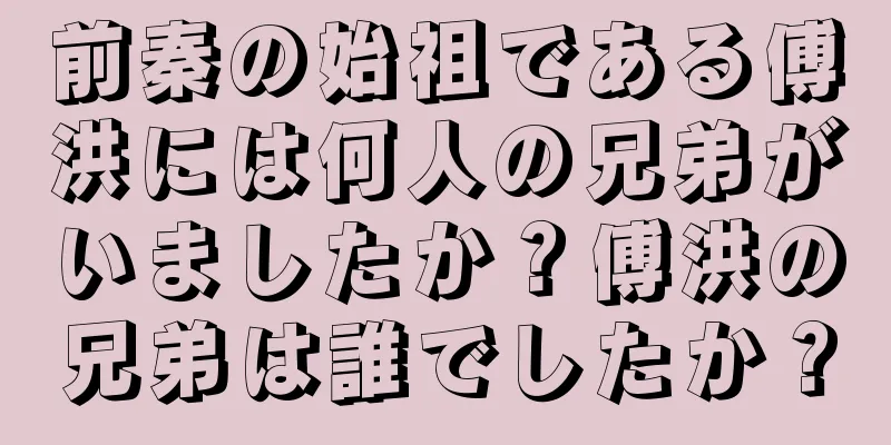 前秦の始祖である傅洪には何人の兄弟がいましたか？傅洪の兄弟は誰でしたか？