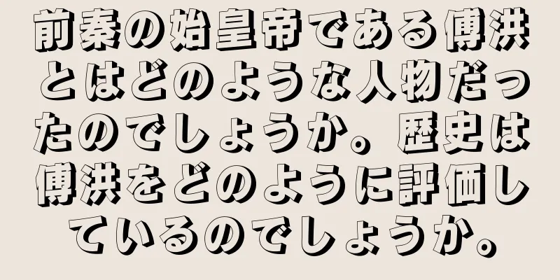 前秦の始皇帝である傅洪とはどのような人物だったのでしょうか。歴史は傅洪をどのように評価しているのでしょうか。