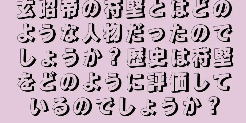 玄昭帝の苻堅とはどのような人物だったのでしょうか？歴史は苻堅をどのように評価しているのでしょうか？