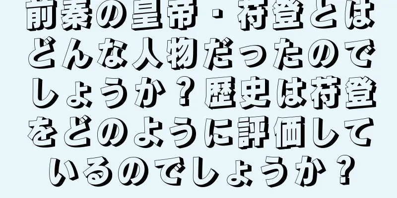 前秦の皇帝・苻登とはどんな人物だったのでしょうか？歴史は苻登をどのように評価しているのでしょうか？