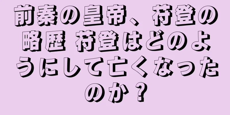 前秦の皇帝、苻登の略歴 苻登はどのようにして亡くなったのか？