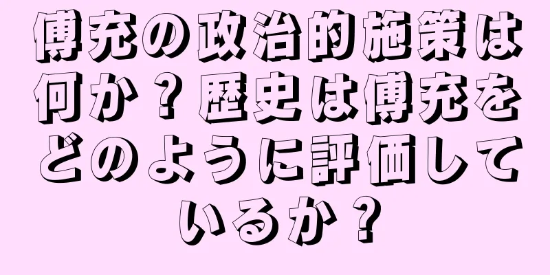 傅充の政治的施策は何か？歴史は傅充をどのように評価しているか？