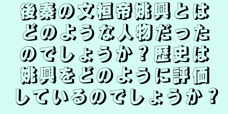 後秦の文桓帝姚興とはどのような人物だったのでしょうか？歴史は姚興をどのように評価しているのでしょうか？