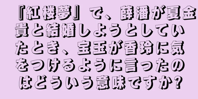 『紅楼夢』で、薛潘が夏金貴と結婚しようとしていたとき、宝玉が香玲に気をつけるように言ったのはどういう意味ですか?