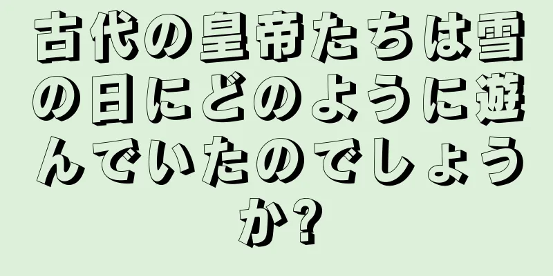 古代の皇帝たちは雪の日にどのように遊んでいたのでしょうか?