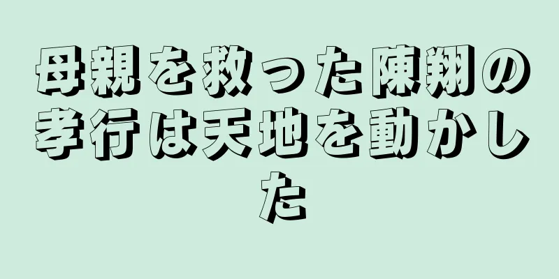母親を救った陳翔の孝行は天地を動かした